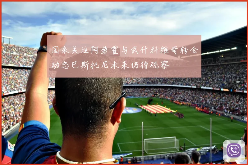 国米关注阿劳霍与武什科维奇转会动态巴斯托尼未来仍待观察