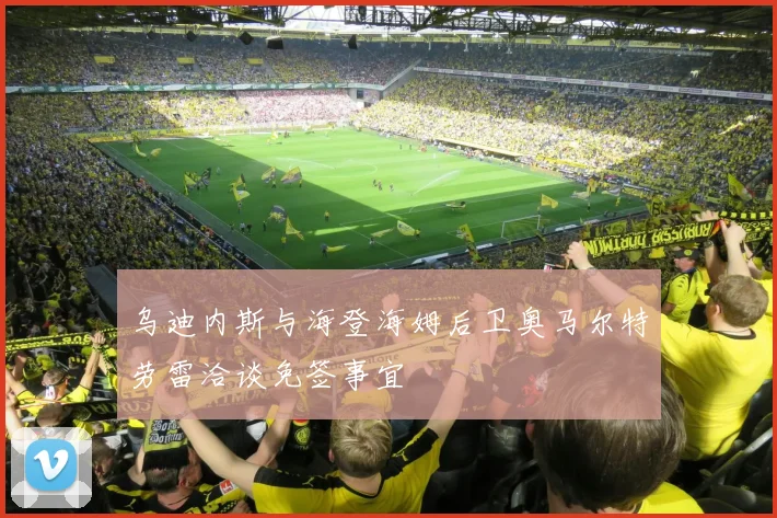 乌迪内斯与海登海姆后卫奥马尔特劳雷洽谈免签事宜